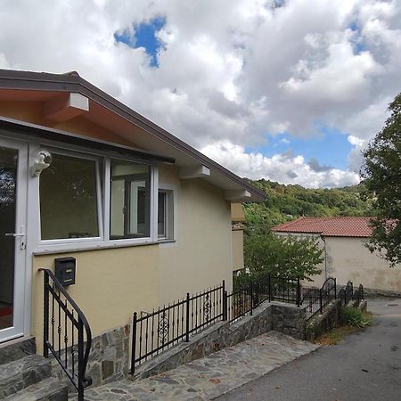 Apartma Apollonio Črni Kal Esterno foto